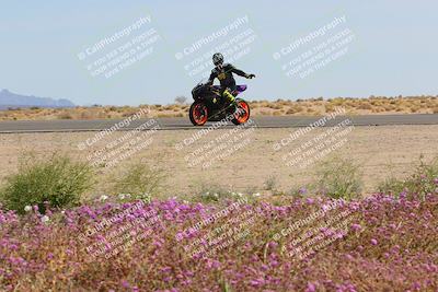 media/Mar-12-2023-SoCal Trackdays (Sun) [[d4c8249724]]/Turn 15 Inside Bloom (130pm)/